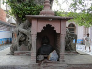The small mandir where Girirajji is worshipped